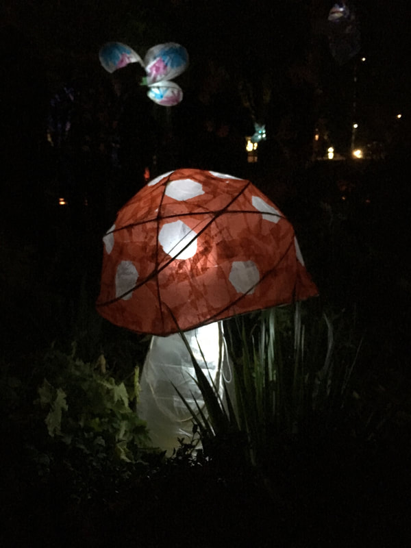Mushroom Willow Lantern,
West Point Lantern Parade, 2018