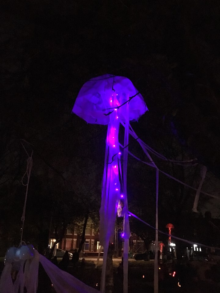 Jellyfish
West Point Lantern Parade, 2016